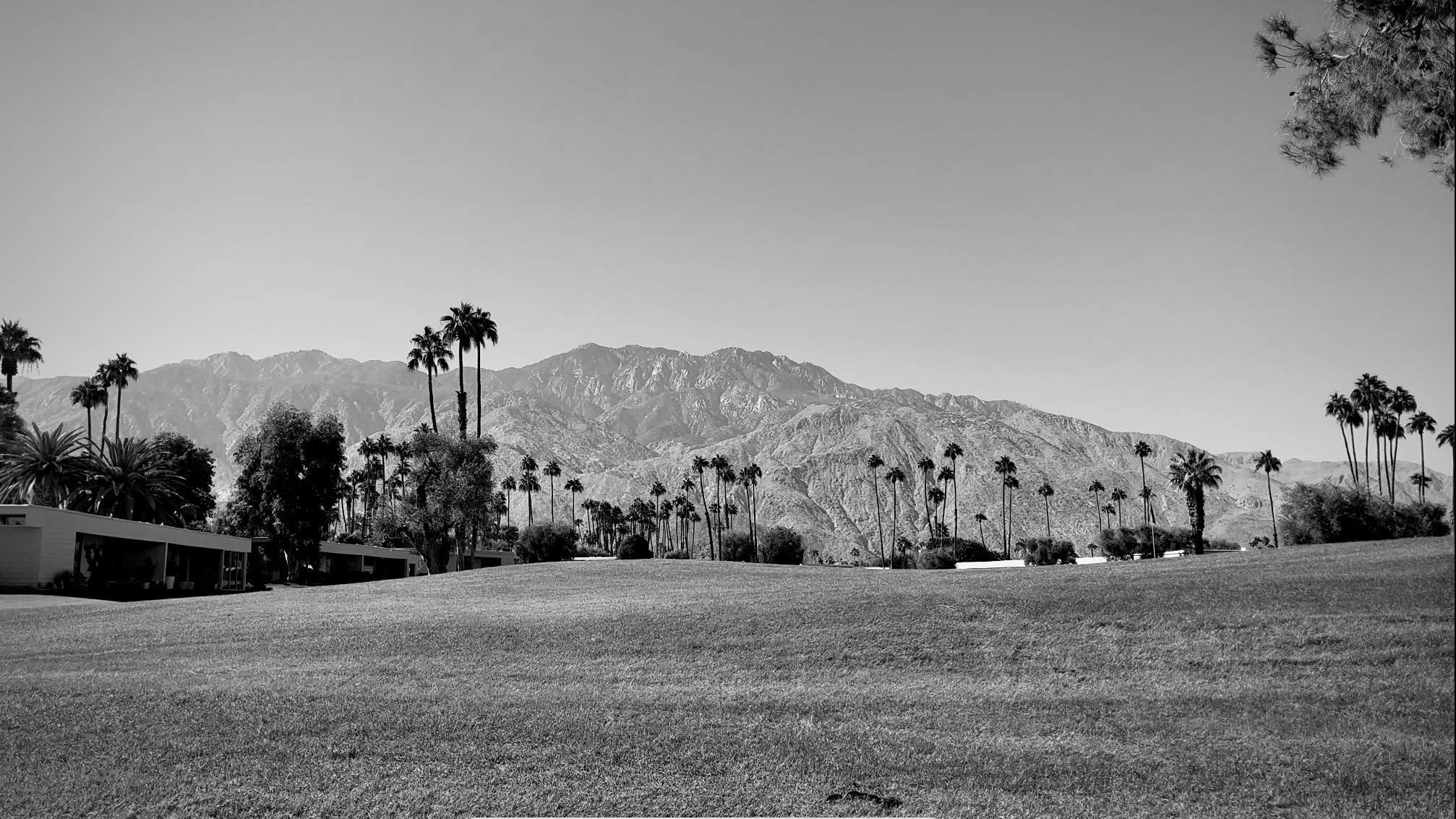 Palm-Springs
